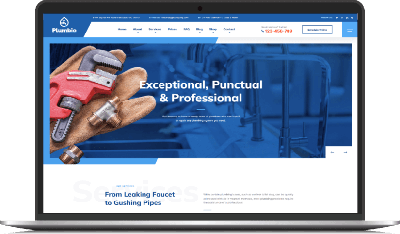 Website Design For Plumber